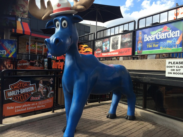 s_写真2 2016-06-22 17 21 32