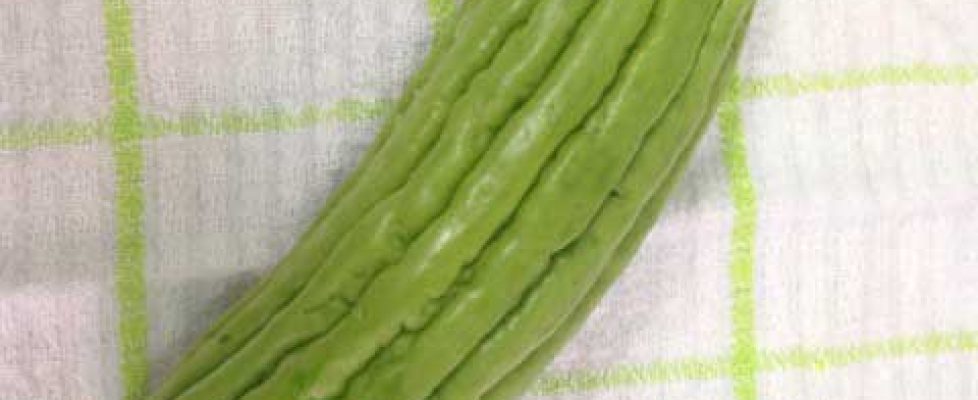 bitter-melon-1