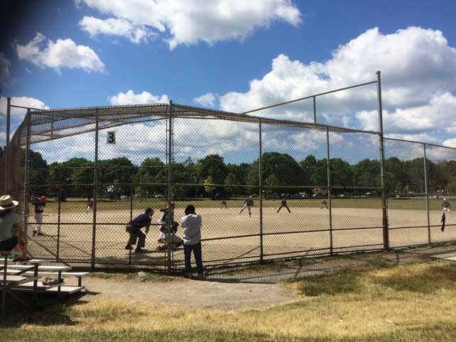 toronto-baseball