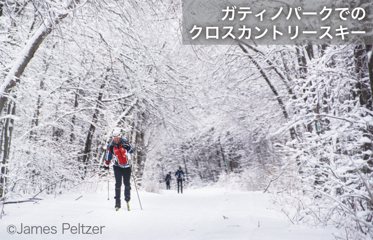 ottawa-collection170204