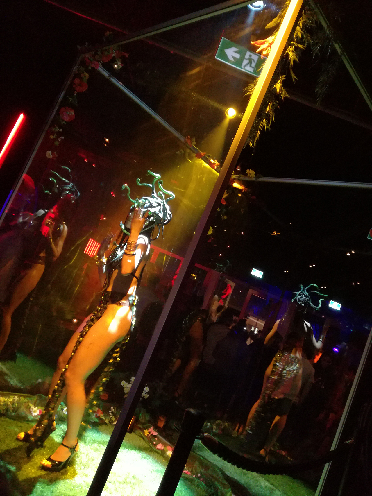 big-night-club02