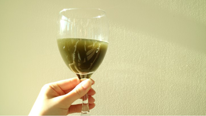 do-you-know-kombucha02