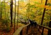 Autumn Hiking