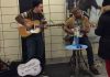 ttc-musician02
