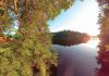 麗しの湖、癒しの森｜オンタリオ州・アウトドアの魅力。楓の森の歩き方　第62歩
