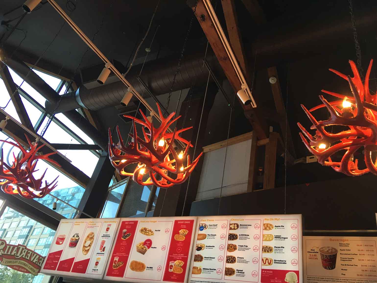 動物の角を利用した電気