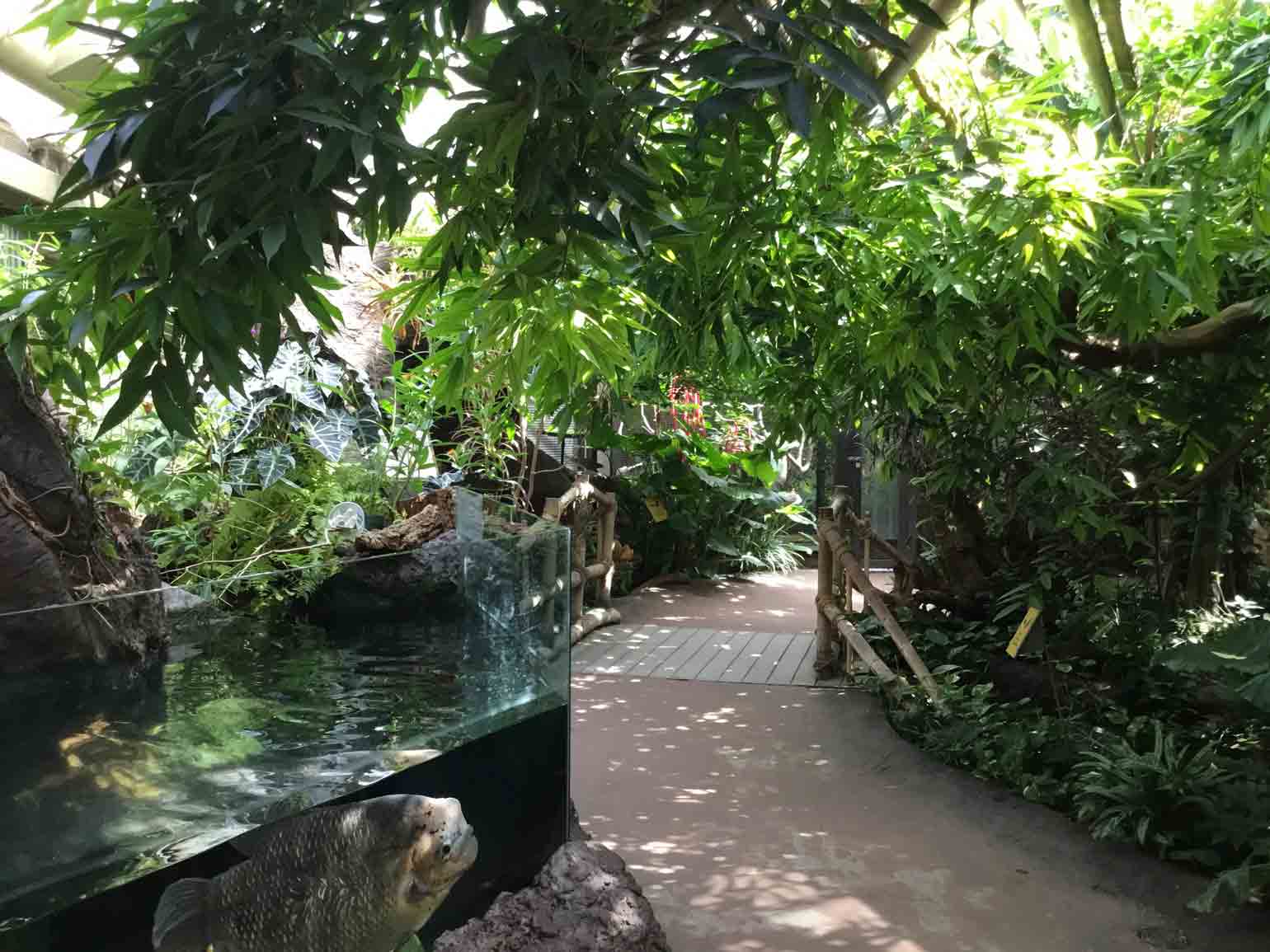 動物園の中とは思えない