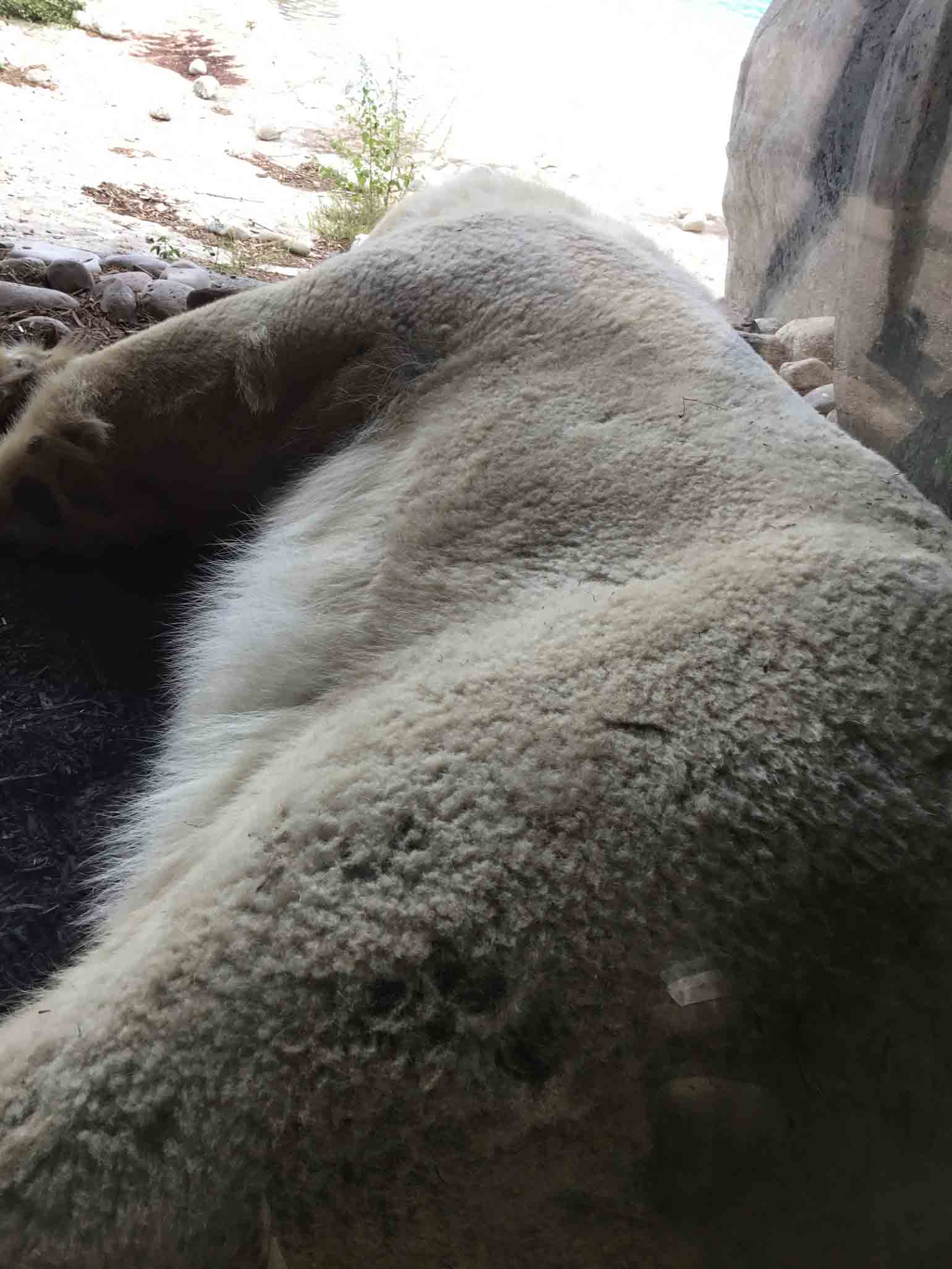 寝息と共に腹部が上下するのを目の当たりにし、「あぁ、生きてるんだなぁ」と意味の分からない感傷に浸った