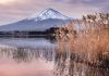 一度は富士山を見に行こう – 河口湖の昔と今 ｜紀行家 石原牧子の思い切って『旅』第51回