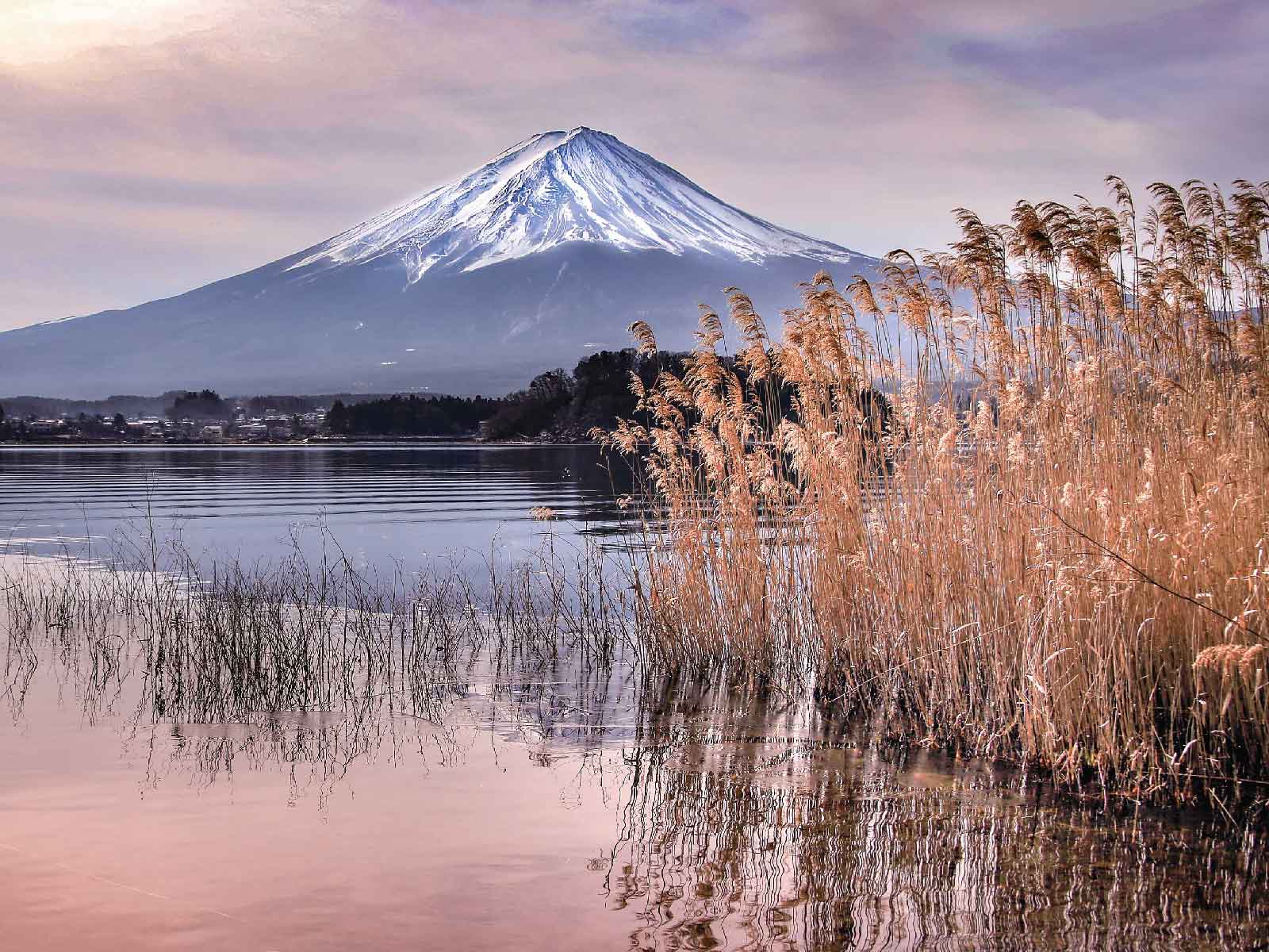 大石公園から見た富士山（秋景色）