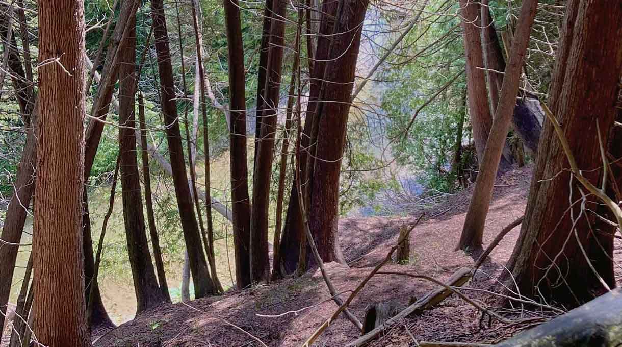 ハイキング・トレイルから見下ろすペネタンゴア川
