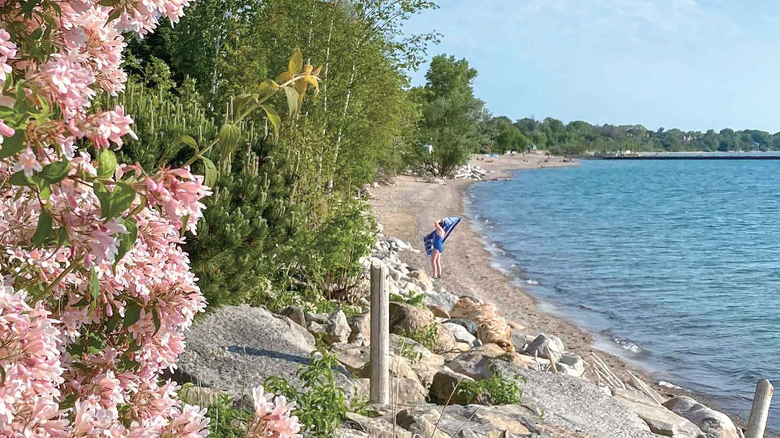 ロックガーデンに縁取られた北側のビーチ