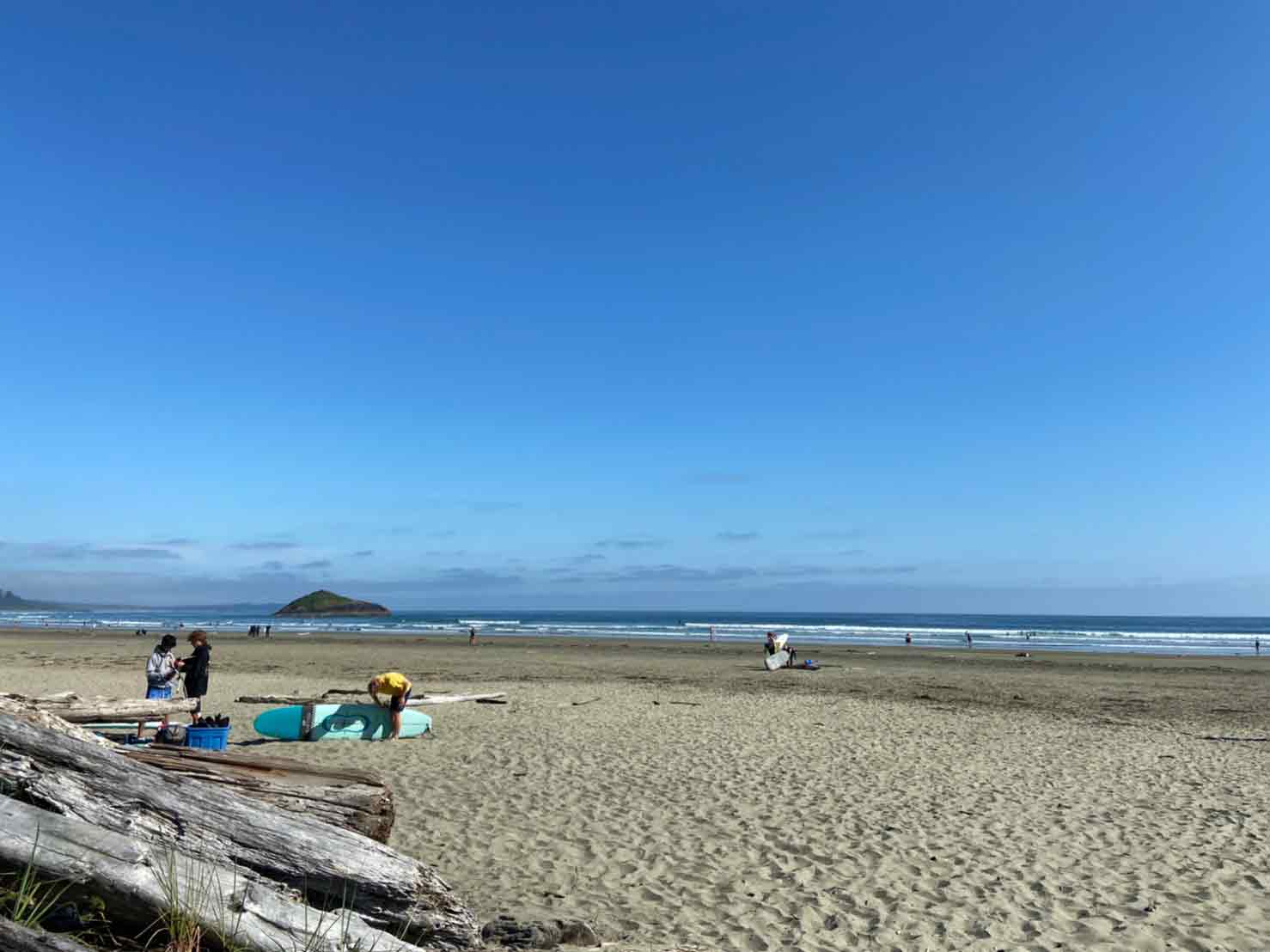 バンクーバーからトフィーノへ おすすめロードトリップ4 Ubc女子大生がおくるバンクーバーライフ Torja