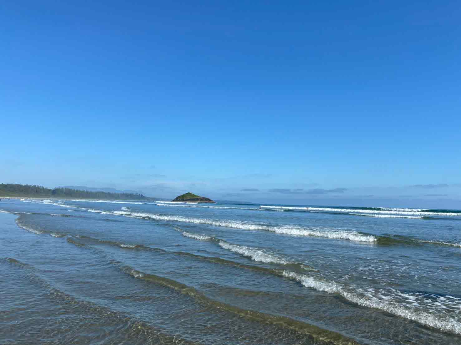 バンクーバーからトフィーノへ おすすめロードトリップ4 Ubc女子大生がおくるバンクーバーライフ Torja